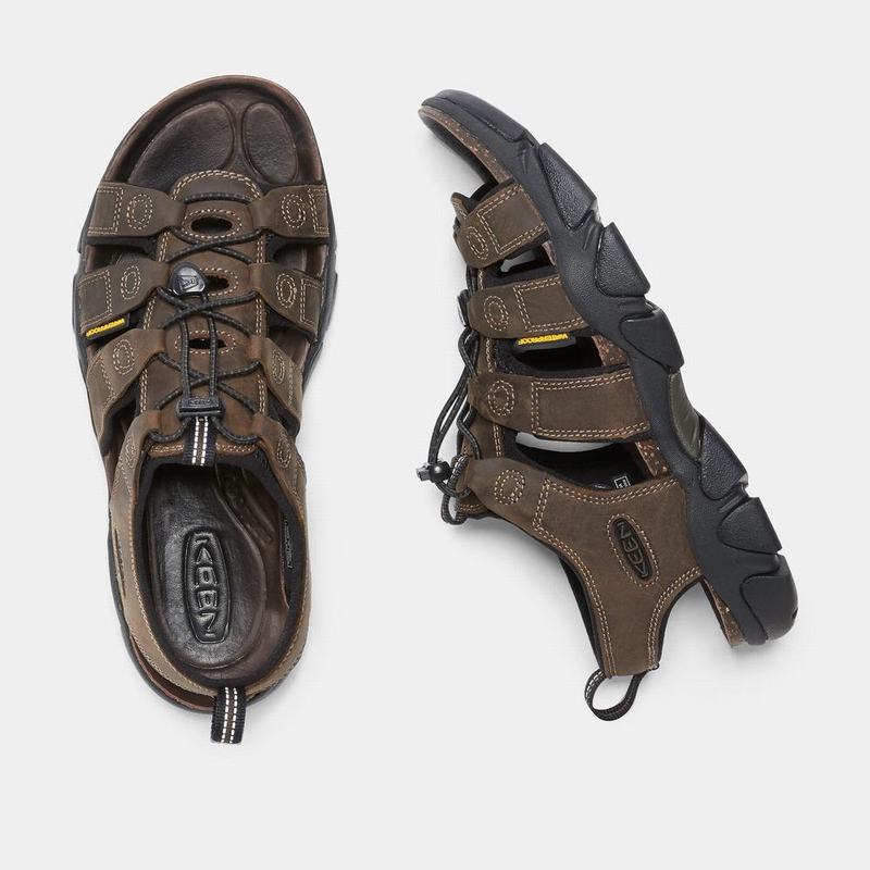 Sandalias Trekking Keen Daytona Para Hombre Marrom Oscuro - Sandalias Keen Mexico (430859-TNW)